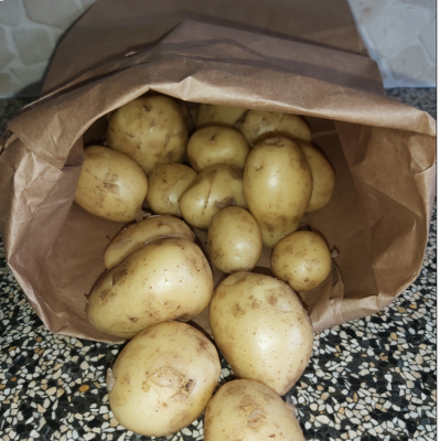 Biologische aardappelen 1 kg